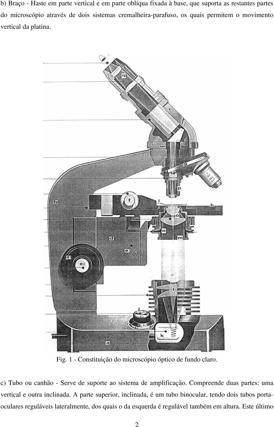 MICROSCÓPIO ÓPTICO DE CAMPO CLARO - PDF Free Download