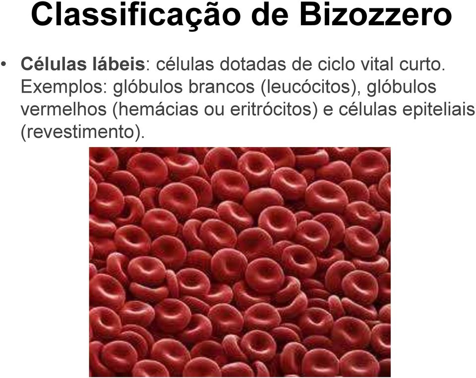 Exemplos: glóbulos brancos (leucócitos), glóbulos