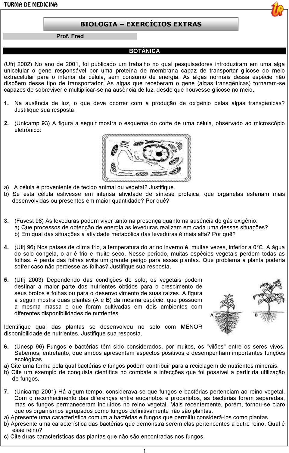 As algas que receberam o gene (algas transgênicas) tornaram-se capazes de sobreviver e multiplicar-se na ausência de luz, desde que houvesse glicose no meio. 1.