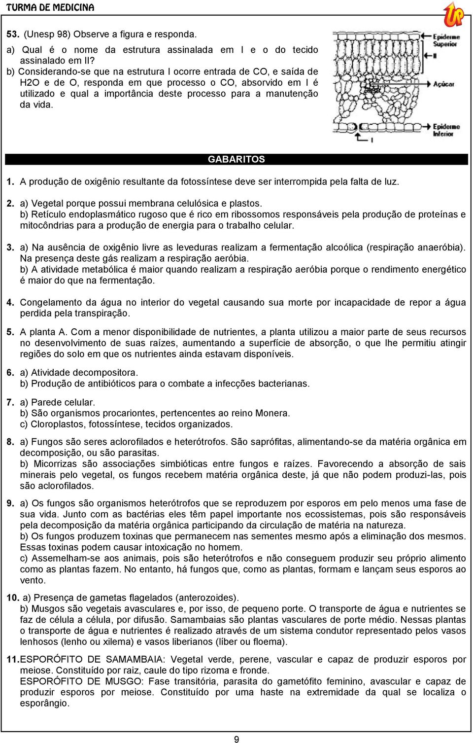 GABARITOS 1. A produção de oxigênio resultante da fotossíntese deve ser interrompida pela falta de luz. 2. a) Vegetal porque possui membrana celulósica e plastos.