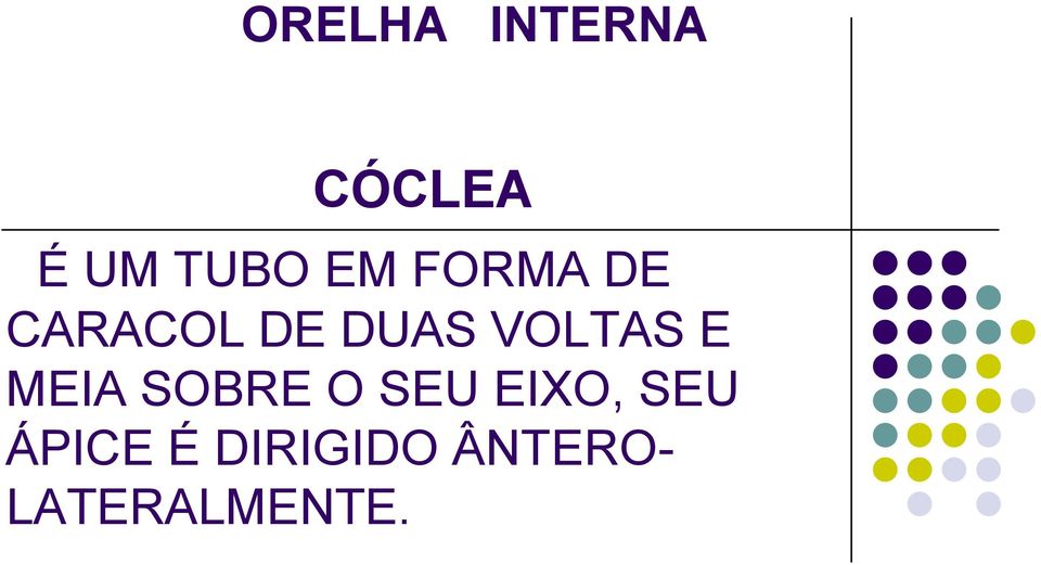 VOLTAS E MEIA SOBRE O SEU EIXO,