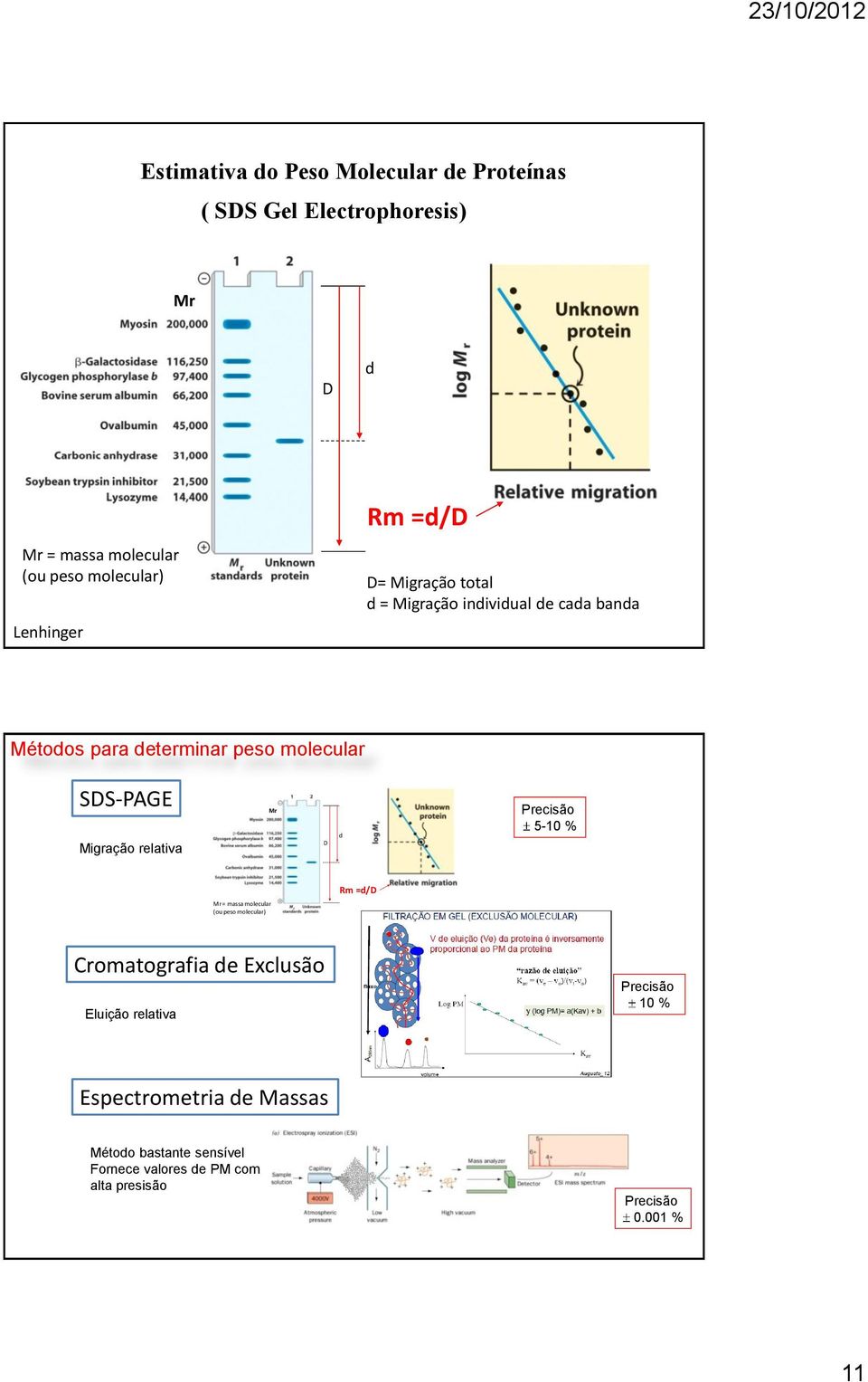 SDS-PAGE Migração relativa Mr D d Precisão 5-10 % Rm =d/d Mr = massa molecular (ou peso molecular) Cromatografia de