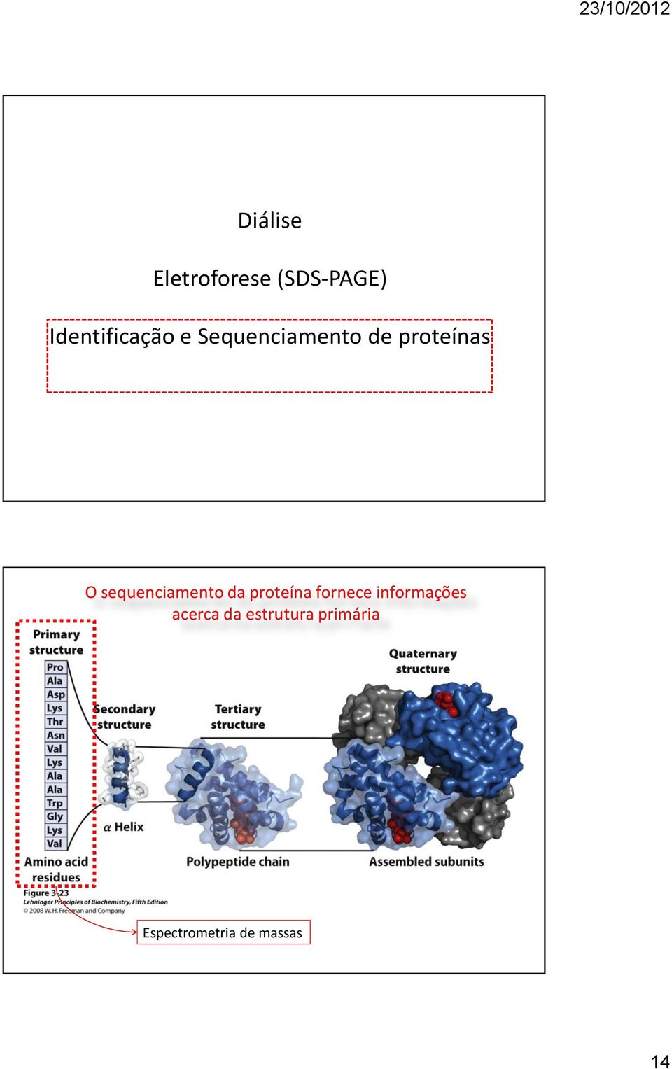 sequenciamento da proteína fornece