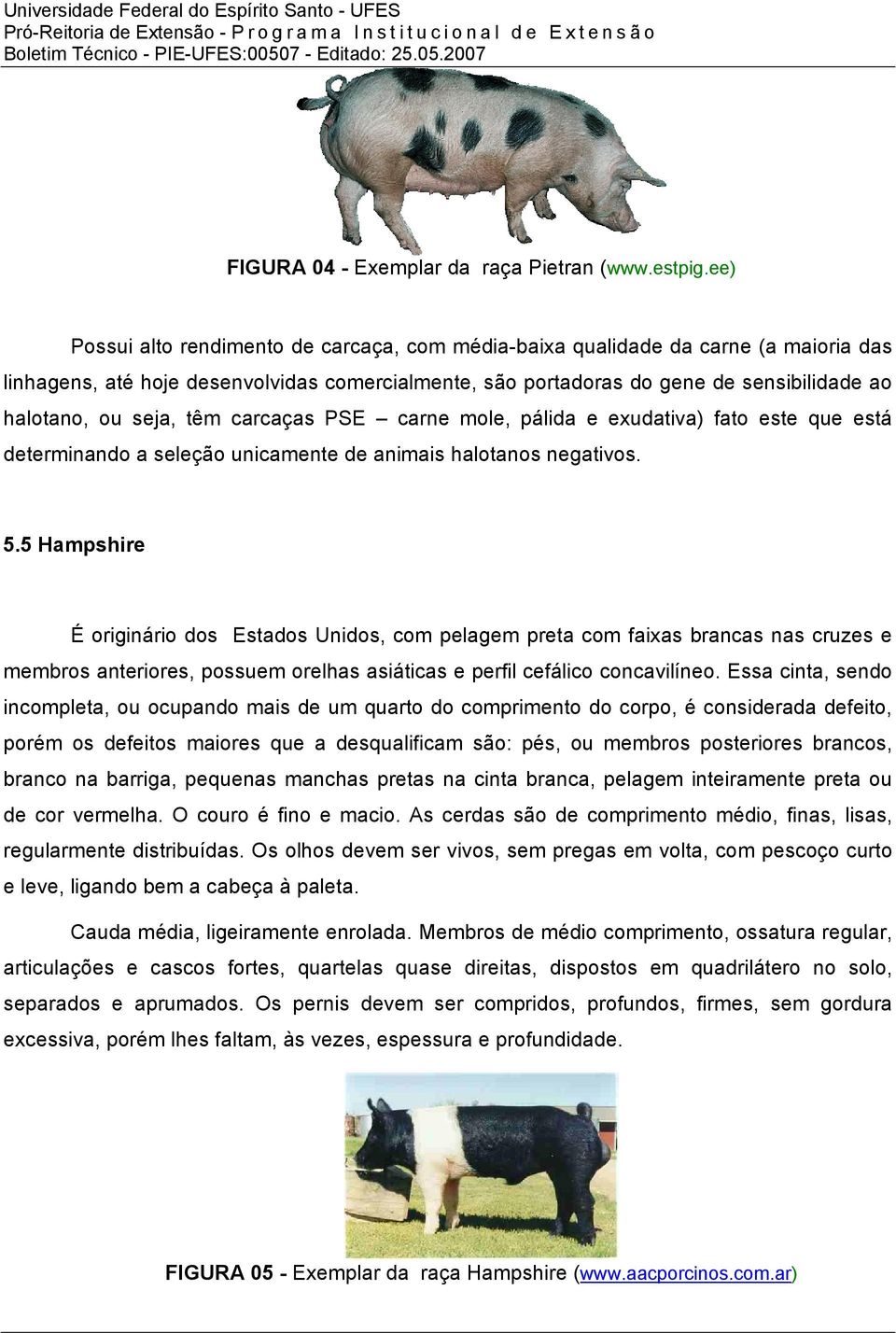 seja, têm carcaças PSE carne mole, pálida e exudativa) fato este que está determinando a seleção unicamente de animais halotanos negativos. 5.