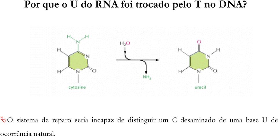 O sistema de reparo seria incapaz de