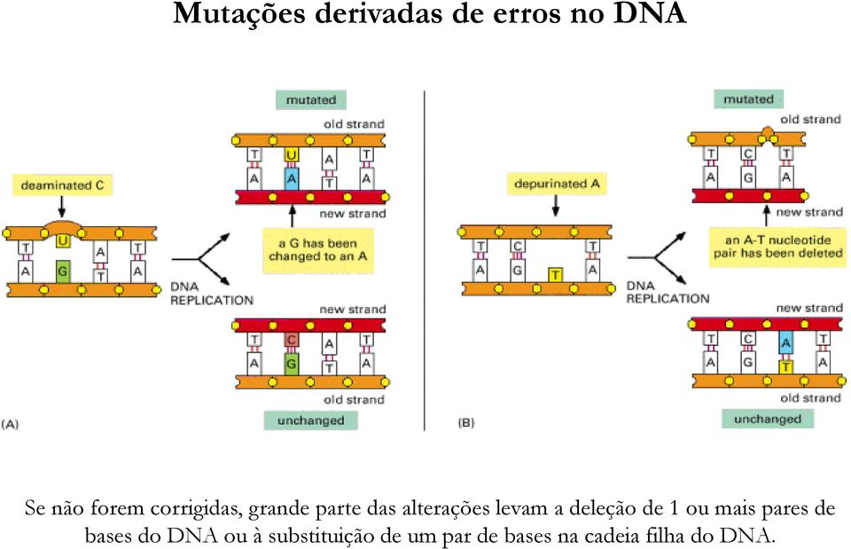 deleção de 1 ou mais pares de bases do DNA ou à