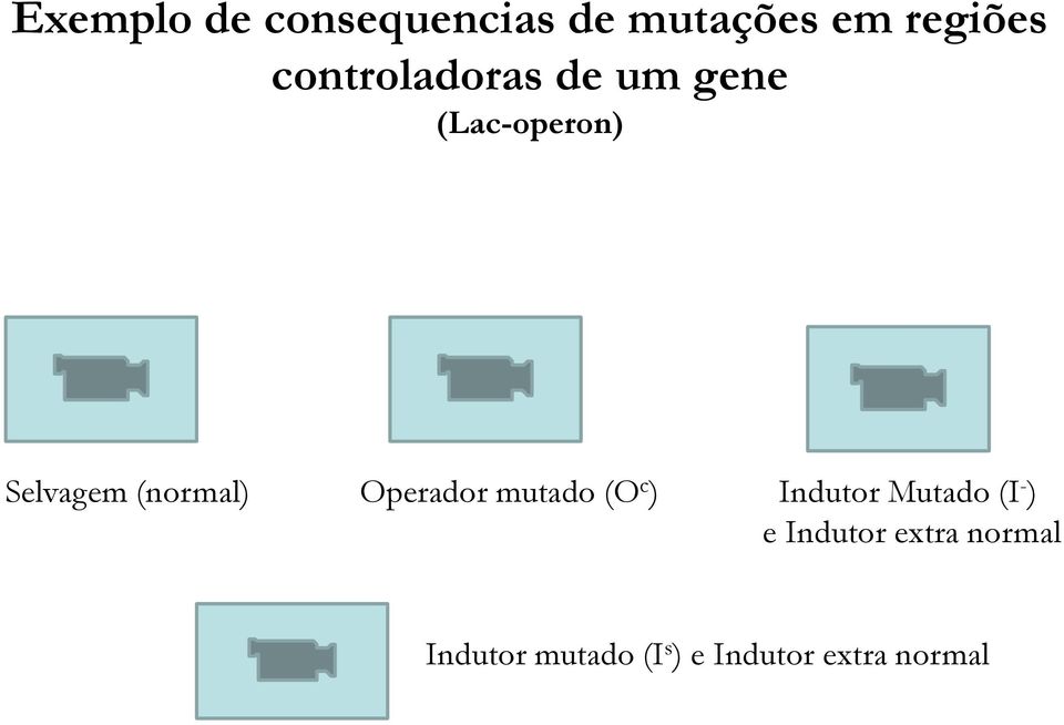 (normal) Operador mutado (O c ) Indutor Mutado (I - )