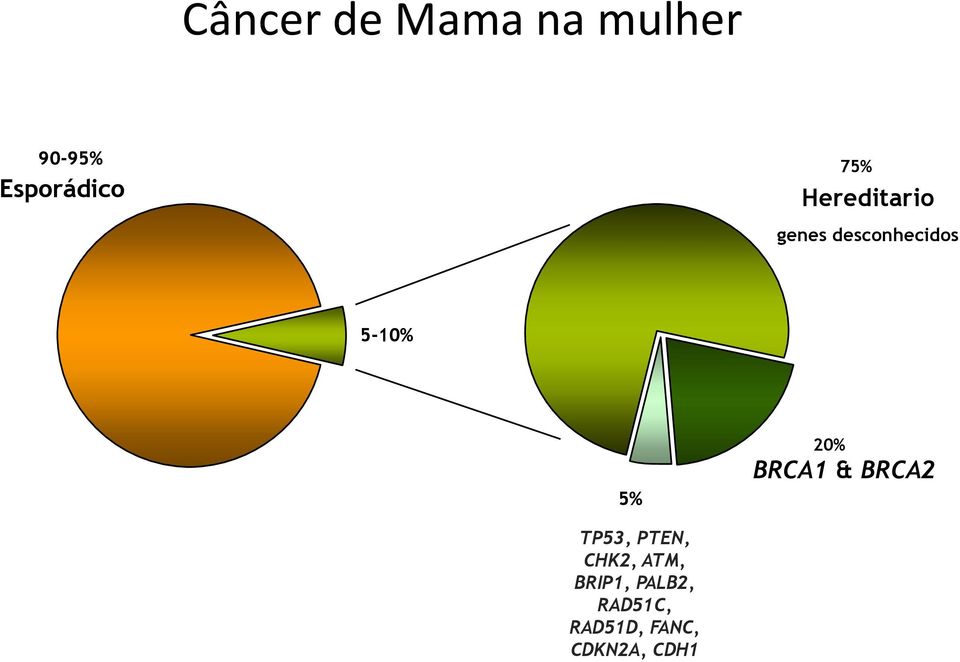 20% BRCA1 & BRCA2 TP53, PTEN, CHK2, ATM,