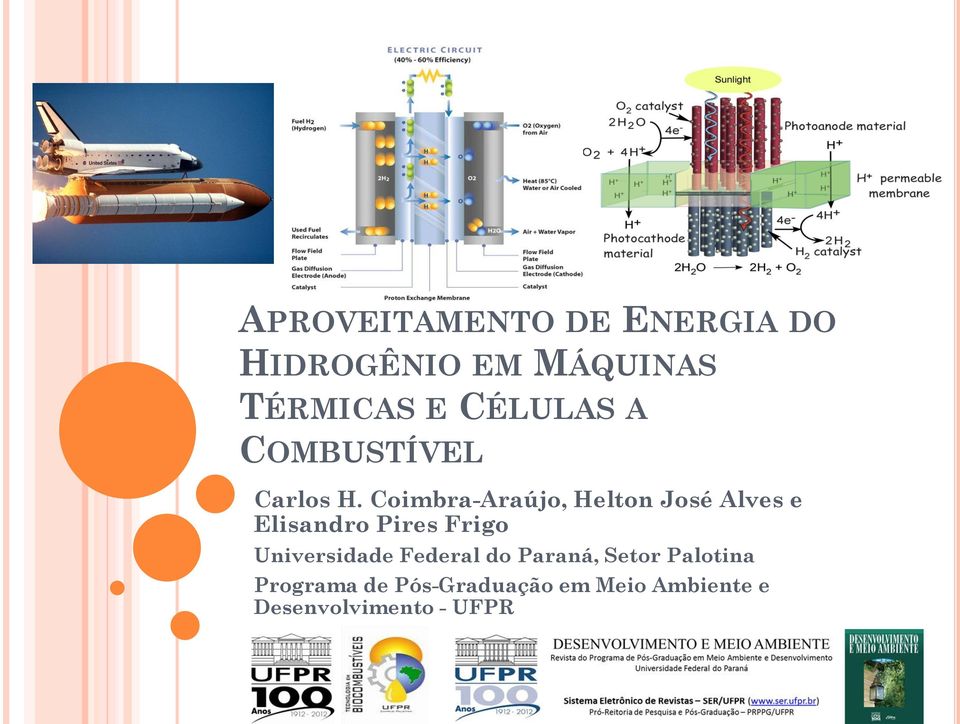 Coimbra-Araújo, Helton José Alves e Elisandro Pires Frigo