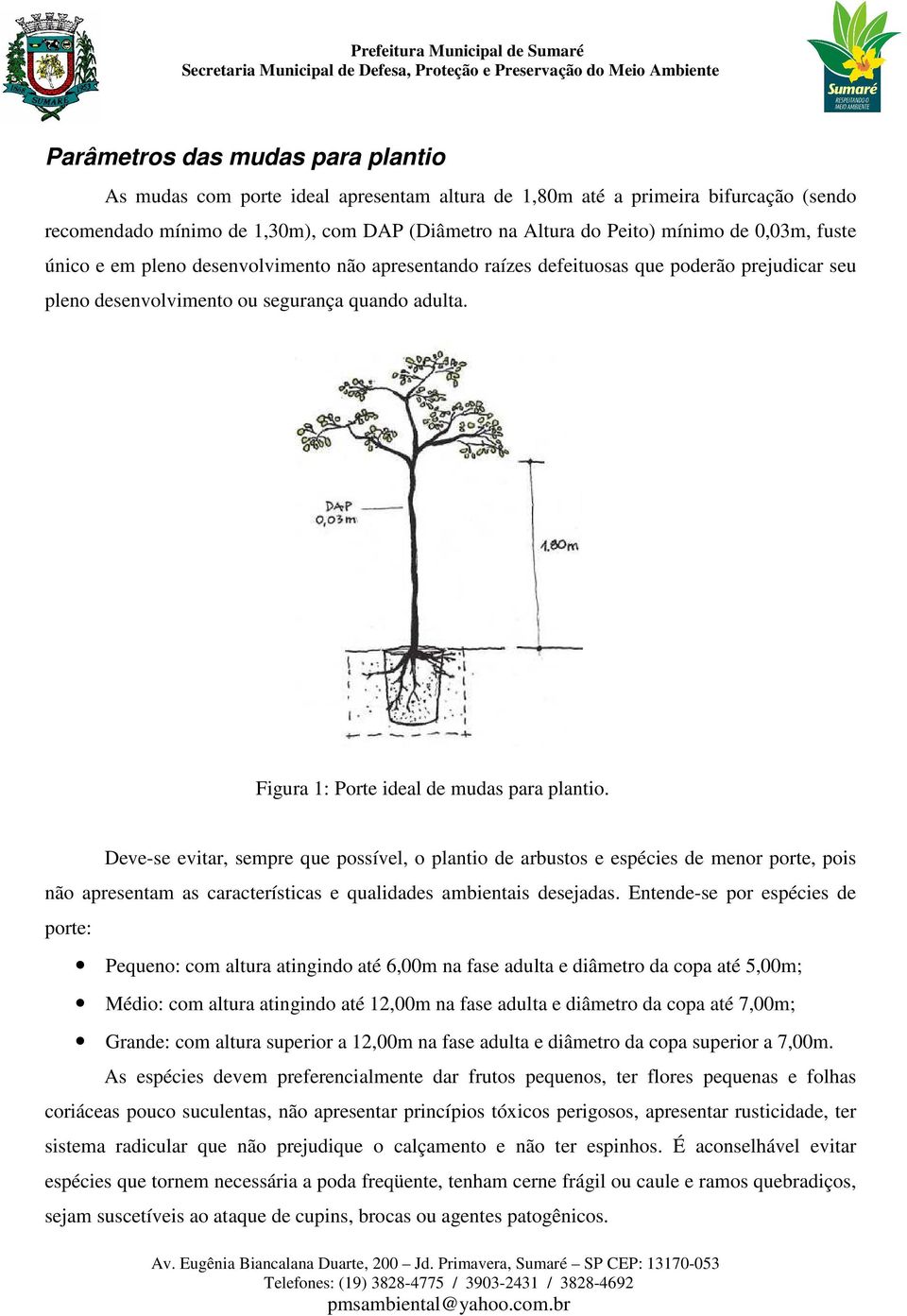 Figura 1: Porte ideal de mudas para plantio.