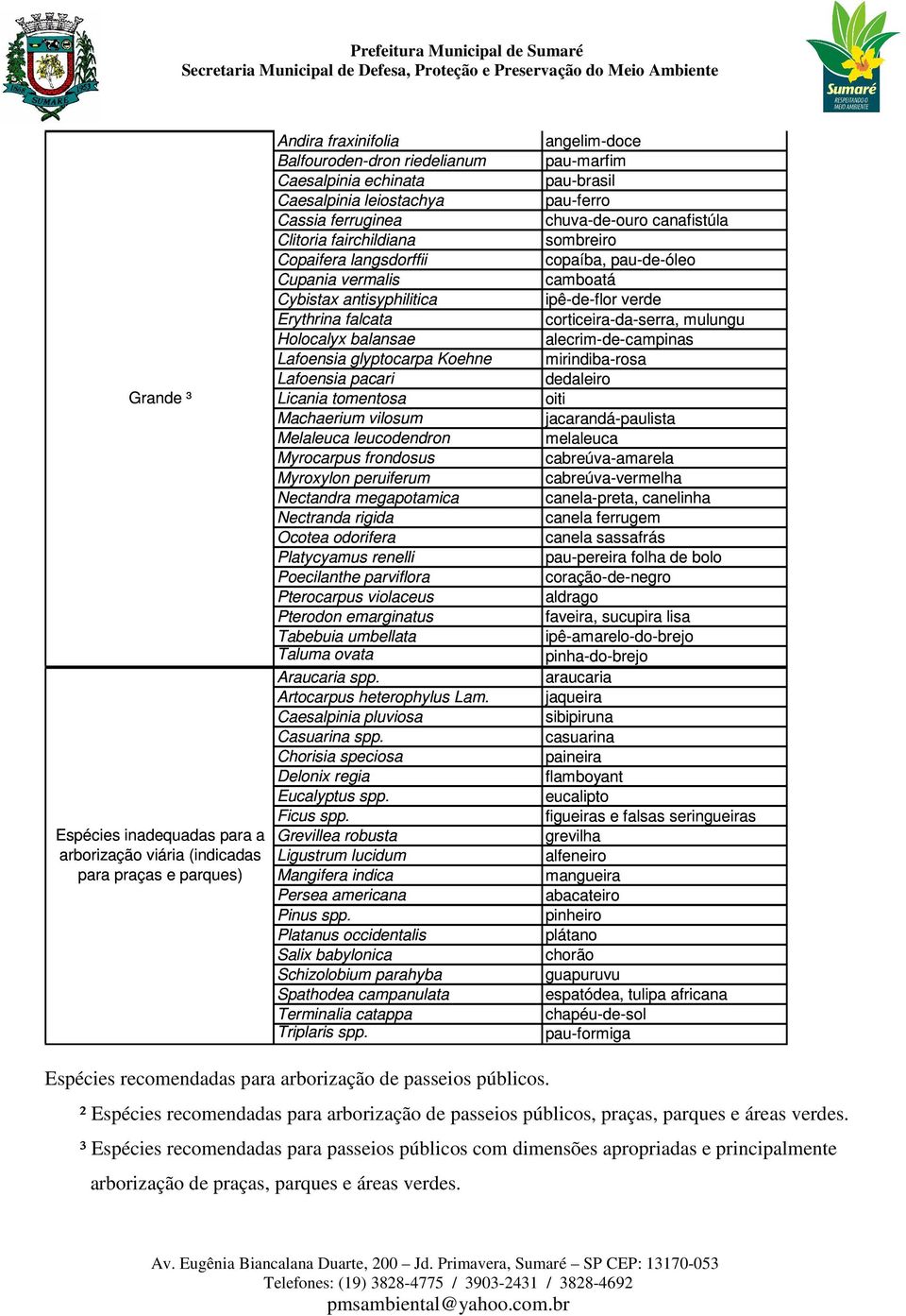 Machaerium vilosum Melaleuca leucodendron Myrocarpus frondosus Myroxylon peruiferum Nectandra megapotamica Nectranda rigida Ocotea odorifera Platycyamus renelli Poecilanthe parviflora Pterocarpus