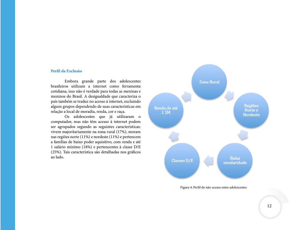 Os adolescentes que já utilizaram o computador, mas não têm acesso à internet podem ser agrupados segundo as seguintes características: vivem majoritariamente na zona rural (17%), moram nas regiões