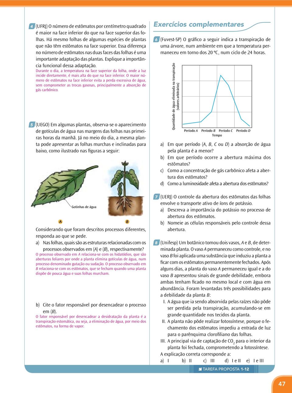 Explique a importância funcional dessa adaptação. Durante o dia, a temperatura na face superior da folha, onde a luz incide diretamente, é mais alta do que na face inferior.