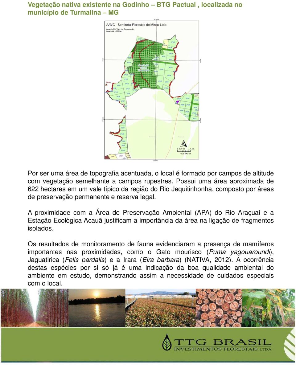 A proximidade com a Área de Preservação Ambiental (APA) do Rio Araçuaí e a Estação Ecológica Acauã justificam a importância da área na ligação de fragmentos isolados.