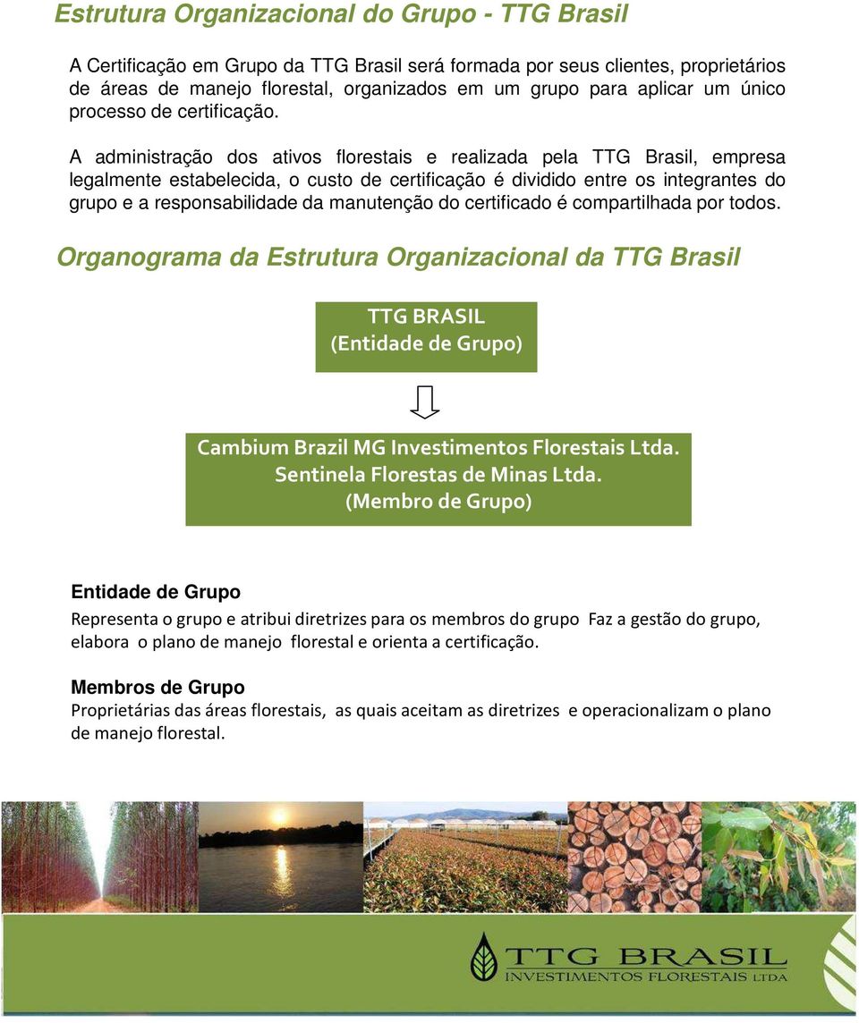 A administração dos ativos florestais e realizada pela TTG Brasil, empresa legalmente estabelecida, o custo de certificação é dividido entre os integrantes do grupo e a responsabilidade da manutenção