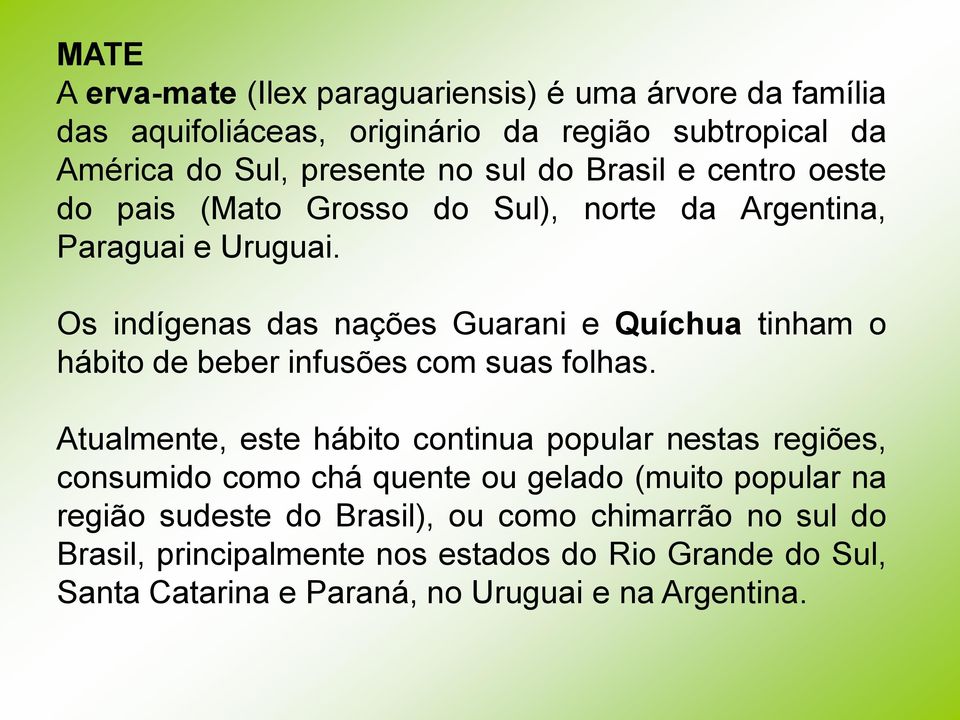 Os indígenas das nações Guarani e Quíchua tinham o hábito de beber infusões com suas folhas.