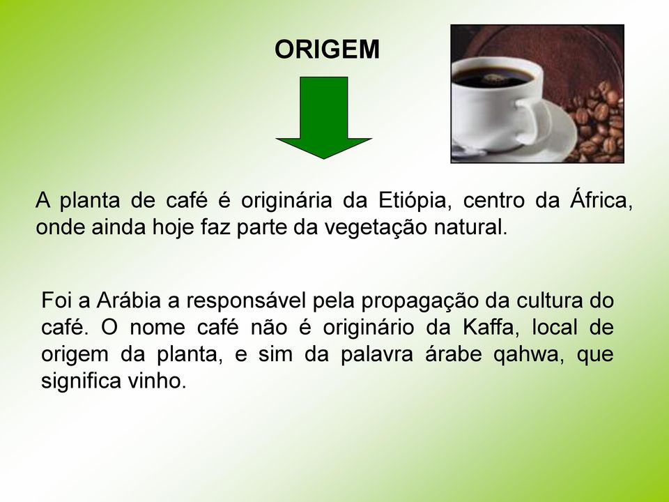 Foi a Arábia a responsável pela propagação da cultura do café.