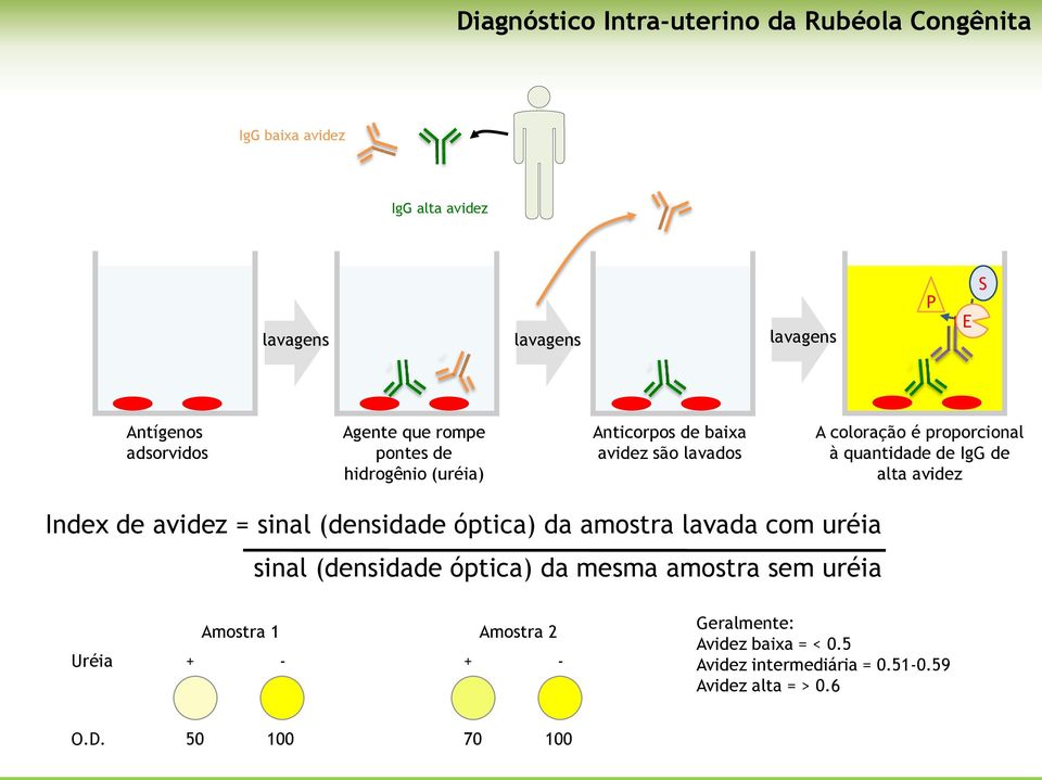 alta avidez Index de avidez = sinal (densidade óptica) da amostra lavada com uréia sinal (densidade óptica) da mesma amostra sem uréia