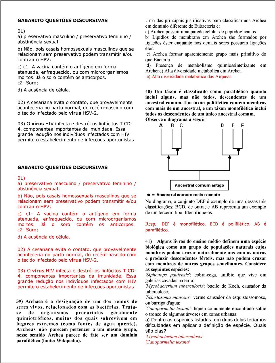 02) A cesariana evita o contato, que provavelmente aconteceria no parto normal, do recém-nascido com o tecido infectado pelo vírus HSV-2.