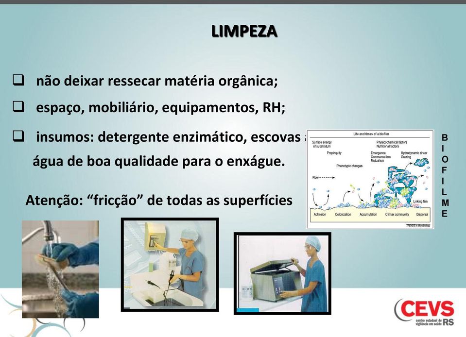 enzimático, escovas adequadas, água de boa qualidade para