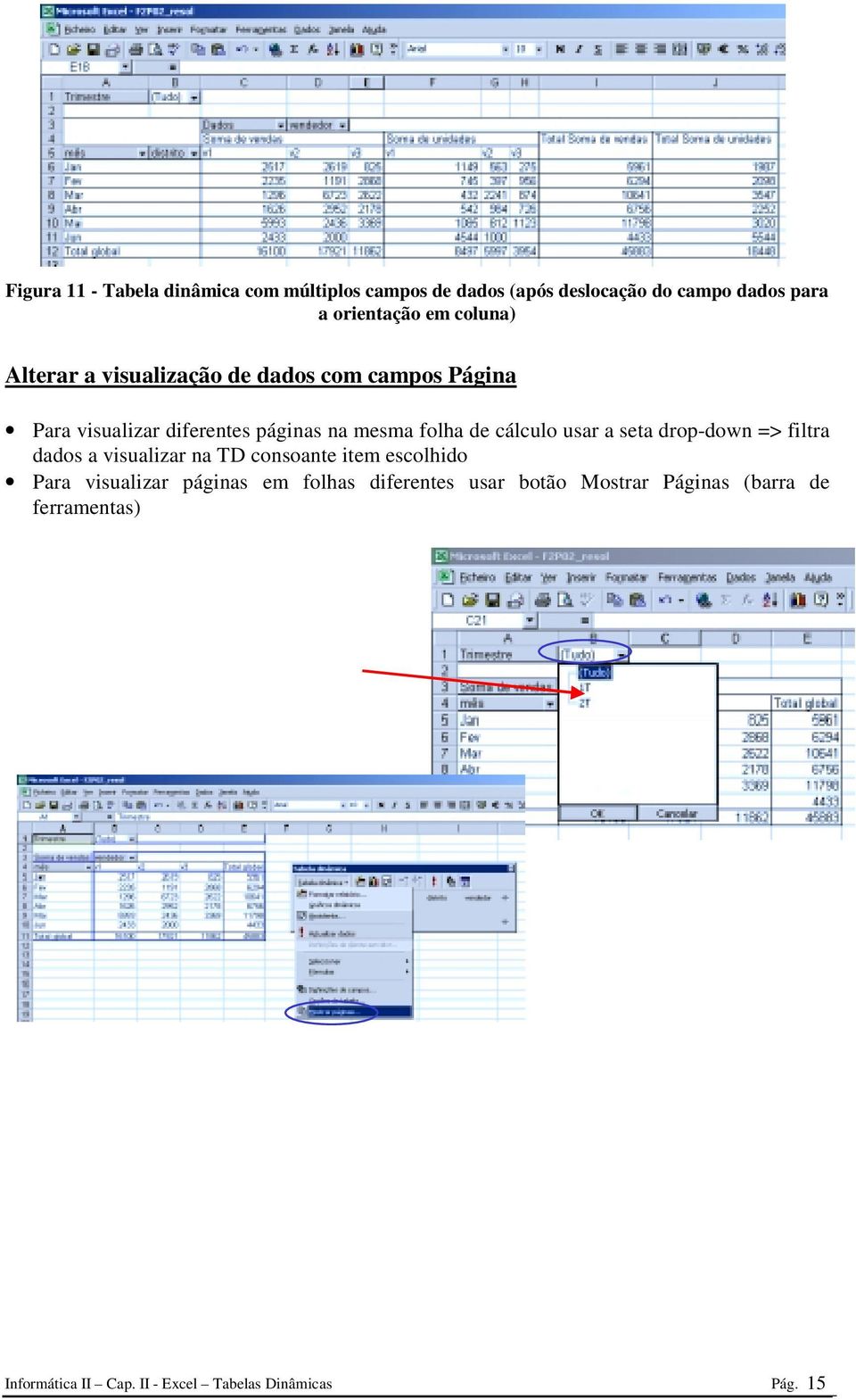 cálculo usar a seta drop-down => filtra dados a visualizar na TD consoante item escolhido Para visualizar páginas
