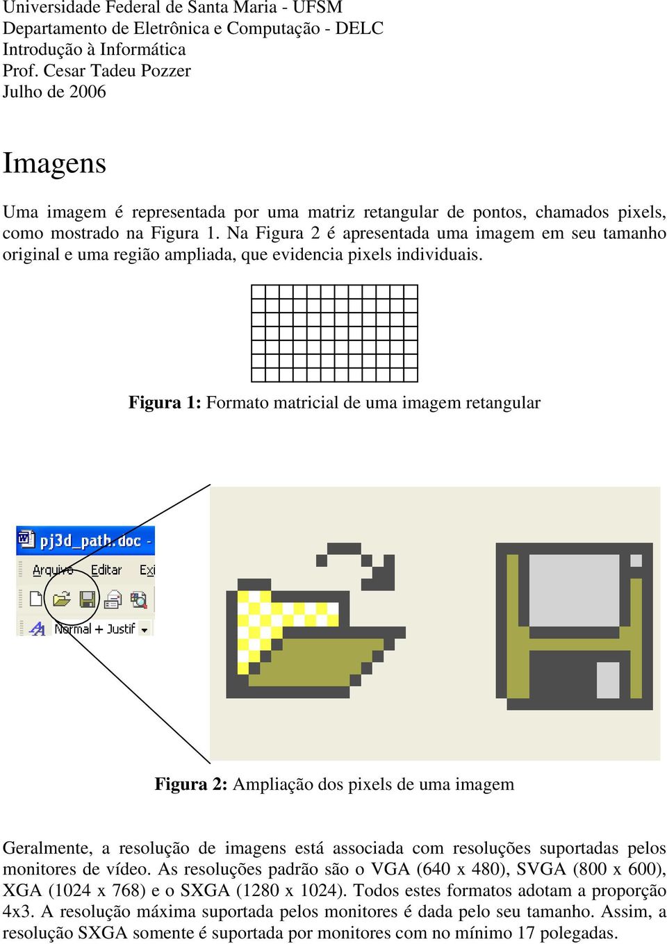 Na Figura 2 é apresentada uma imagem em seu tamanho original e uma região ampliada, que evidencia pixels individuais.