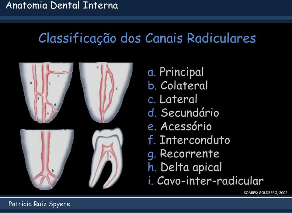 Secundário e. Acessório f. Interconduto g.