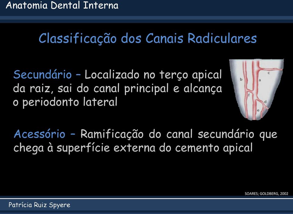 principal e alcança o periodonto lateral Acessório Ramificação do