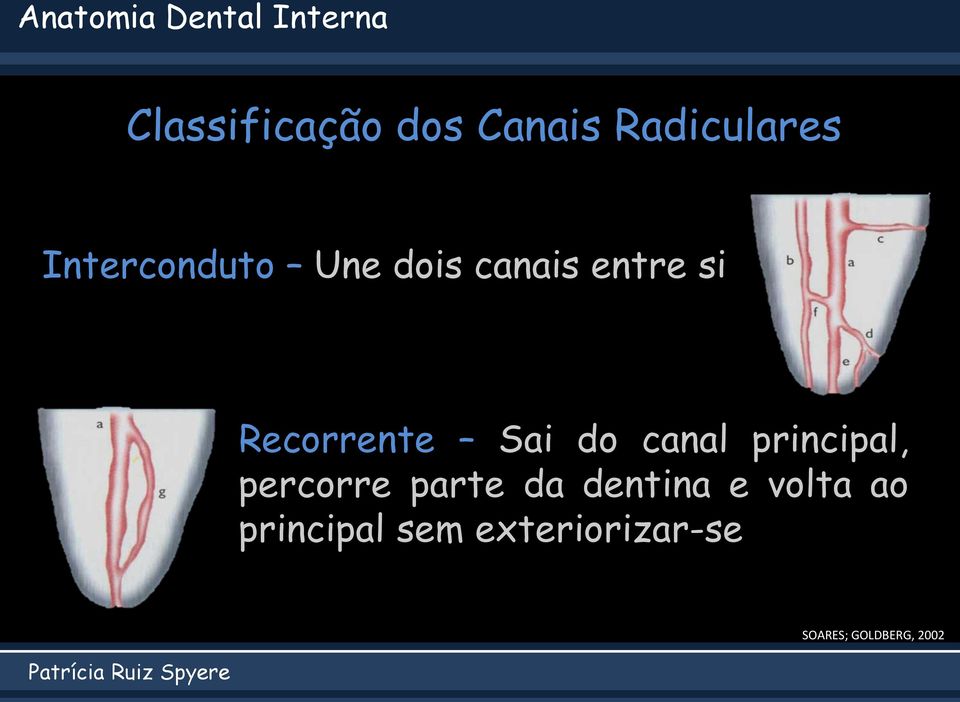 Recorrente Sai do canal principal, percorre parte da