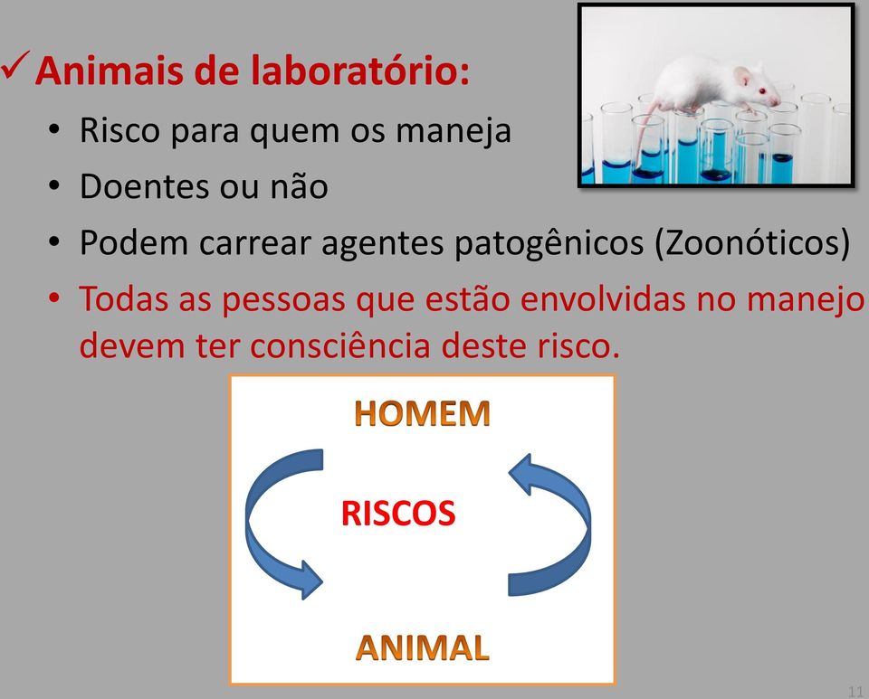 (Zoonóticos) Todas as pessoas que estão envolvidas