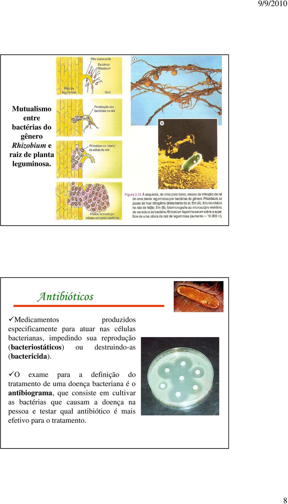 reprodução (bacteriostáticos) ou destruindo-as (bactericida).