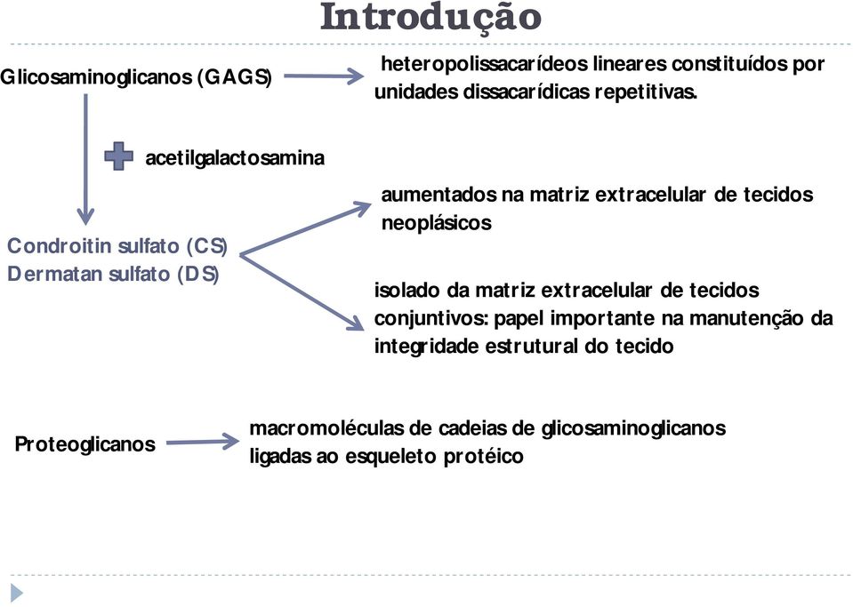 Condroitin sulfato (CS) Dermatan sulfato (DS) acetilgalactosamina aumentados na matriz extracelular de tecidos