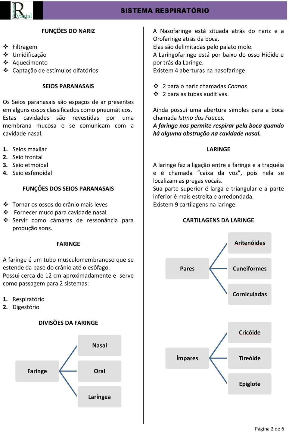 Seio esfenoidal FUNÇÕES DOS SEIOS PARANASAIS Tornar os ossos do crânio mais leves Fornecer muco para cavidade nasal Servir como câmaras de ressonância para produção sons.