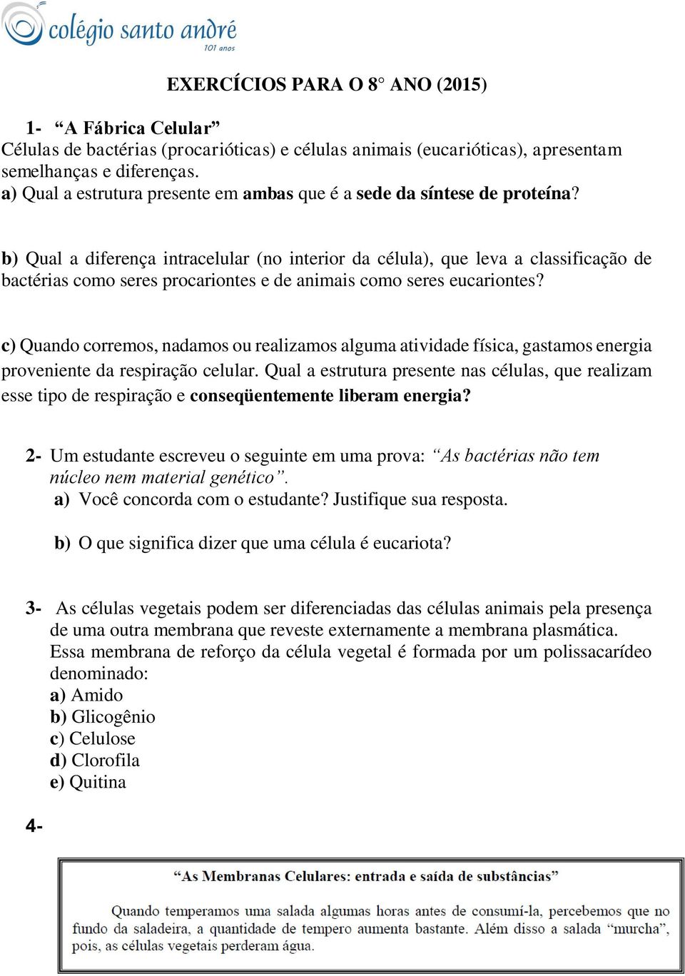 b) Qual a diferença intracelular (no interior da célula), que leva a classificação de bactérias como seres procariontes e de animais como seres eucariontes?