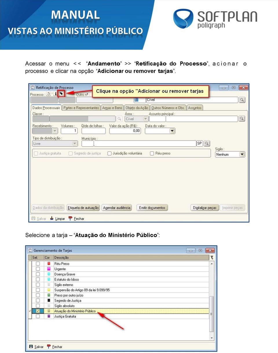 clicar na opção Adicionar ou remover tarjas.