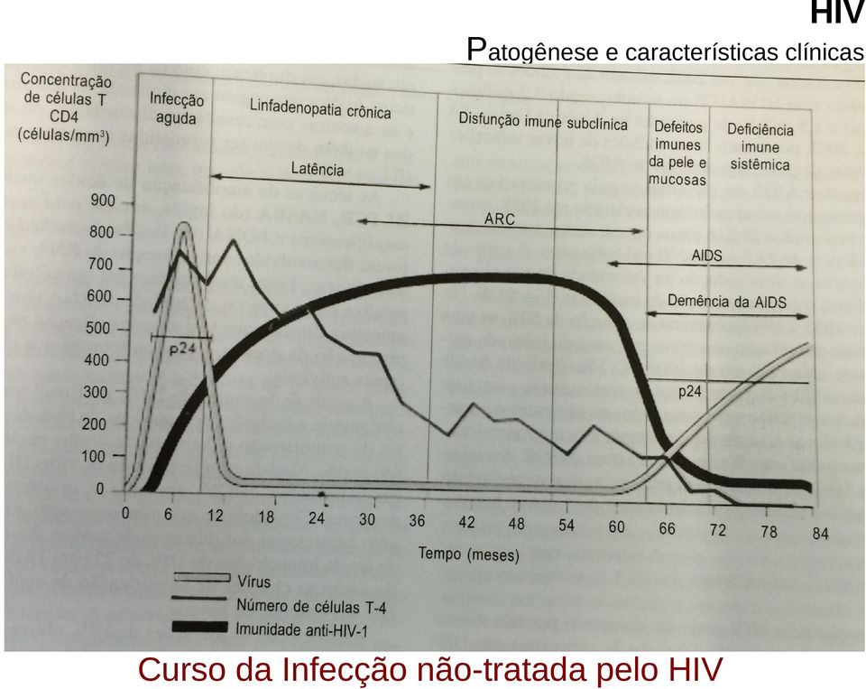 clínicas Curso da