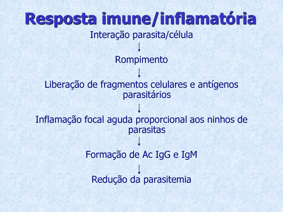 parasitários Inflamação focal aguda proporcional aos