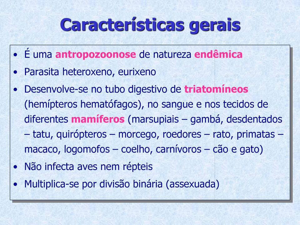 diferentes mamíferos (marsupiais gambá, desdentados tatu, quirópteros morcego, roedores rato, primatas