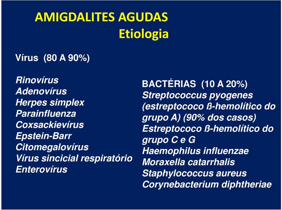 20%) Streptococcus pyogenes (estreptococo ß-hemolítico do grupo A) (90% dos casos) Estreptococo
