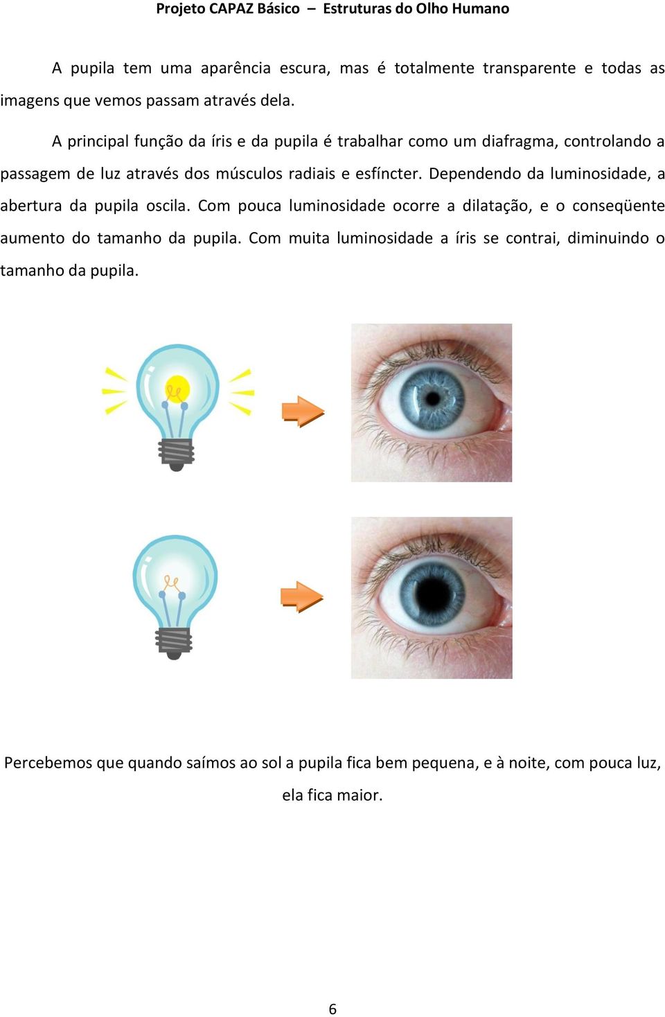 Dependendo da luminosidade, a abertura da pupila oscila. Com pouca luminosidade ocorre a dilatação, e o conseqüente aumento do tamanho da pupila.