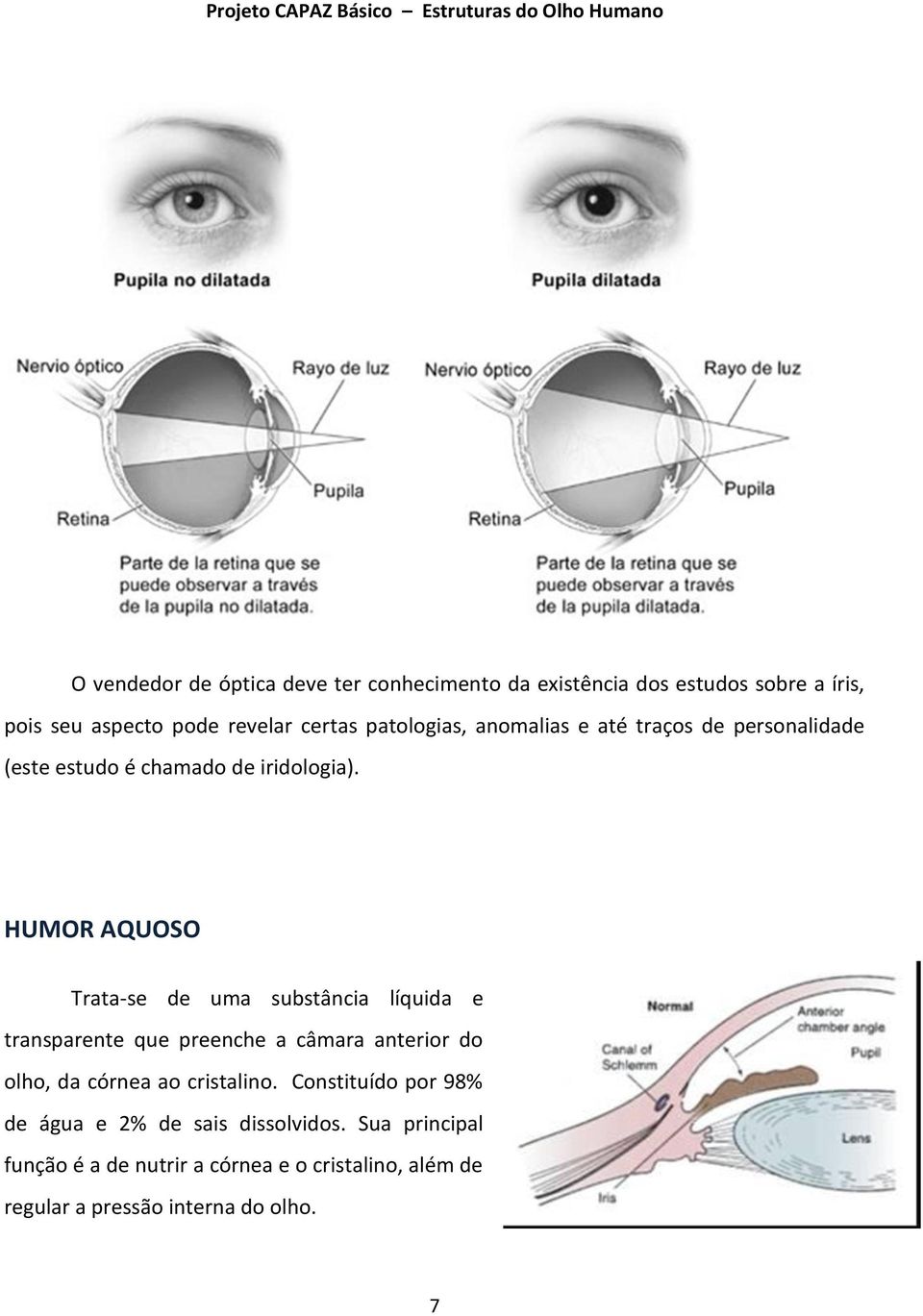 HUMOR AQUOSO Trata-se de uma substância líquida e transparente que preenche a câmara anterior do olho, da córnea ao