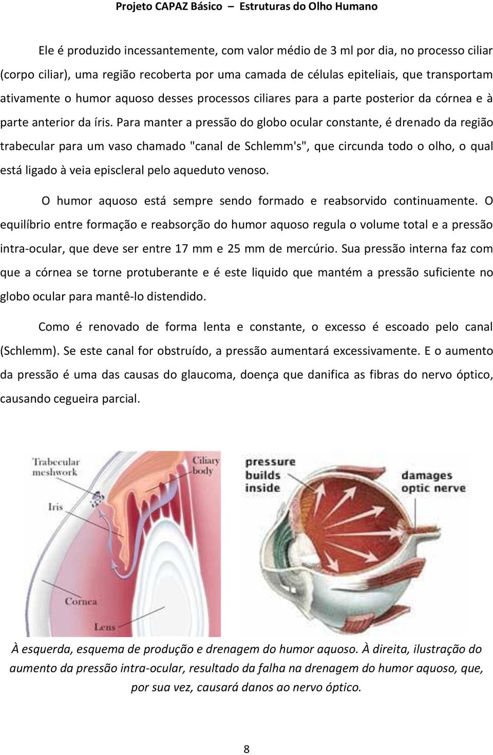 Para manter a pressão do globo ocular constante, é drenado da região trabecular para um vaso chamado "canal de Schlemm's", que circunda todo o olho, o qual está ligado à veia episcleral pelo aqueduto