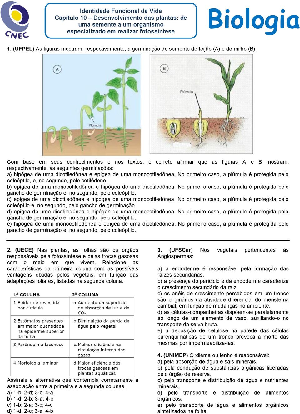 No primeiro caso, a plúmula é protegida pelo coleóptilo, e, no segundo, pelo cotilédone. b) epígea de uma monocotiledônea e hipógea de uma dicotiledônea.