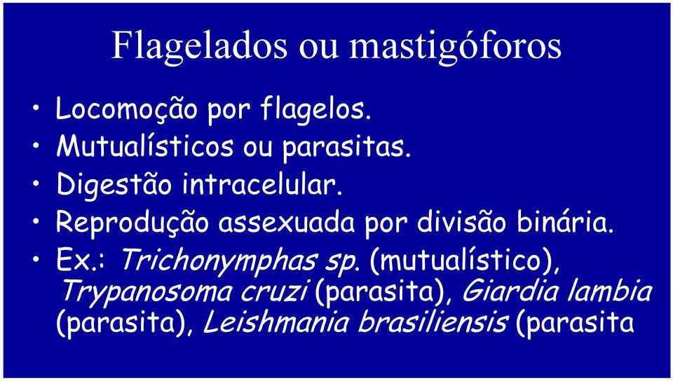 Reprodução assexuada por divisão binária. Ex.: Trichonymphas sp.