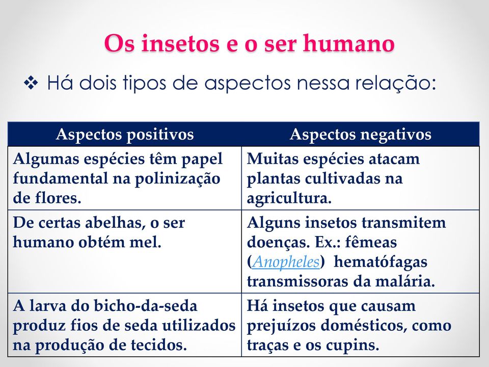 A larva do bicho-da-seda produz fios de seda utilizados na produção de tecidos.