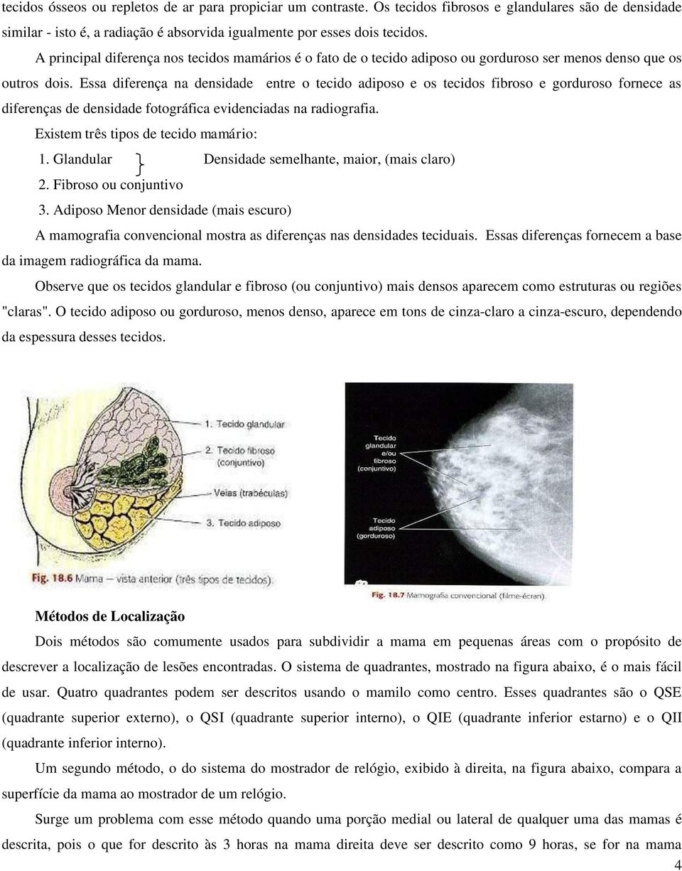 Essa diferença na densidade entre o tecido adiposo e os tecidos fibroso e gorduroso fornece as diferenças de densidade fotográfica evidenciadas na radiografia. Existem três tipos de tecido mamário: 1.