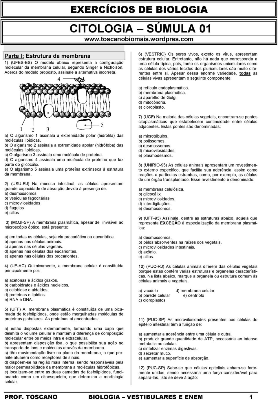 Acerca do modelo proposto, assinale a alternativa incorreta. 6) (VESTRIO) Os seres vivos, exceto os vírus, apresentam estrutura celular.