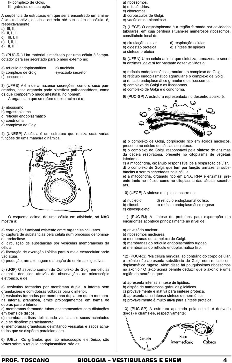 III, I 2) (PUC-RJ) Um material sintetizado por uma célula é "empacotado" para ser secretado para o meio externo no: a) retículo endoplasmático d) nucléolo b) complexo de Golgi e)vacúolo secretor c)