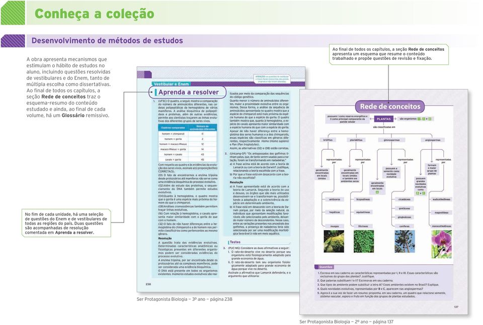 Ao final de todos os capítulos, a seção Rede de conceitos apresenta um esquema que resume o conteúdo trabalhado e propõe questões de revisão e fixação.