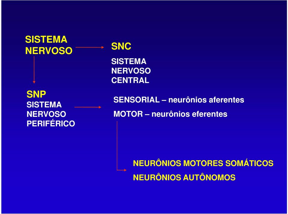 SENSORIAL neurônios aferentes MOTOR